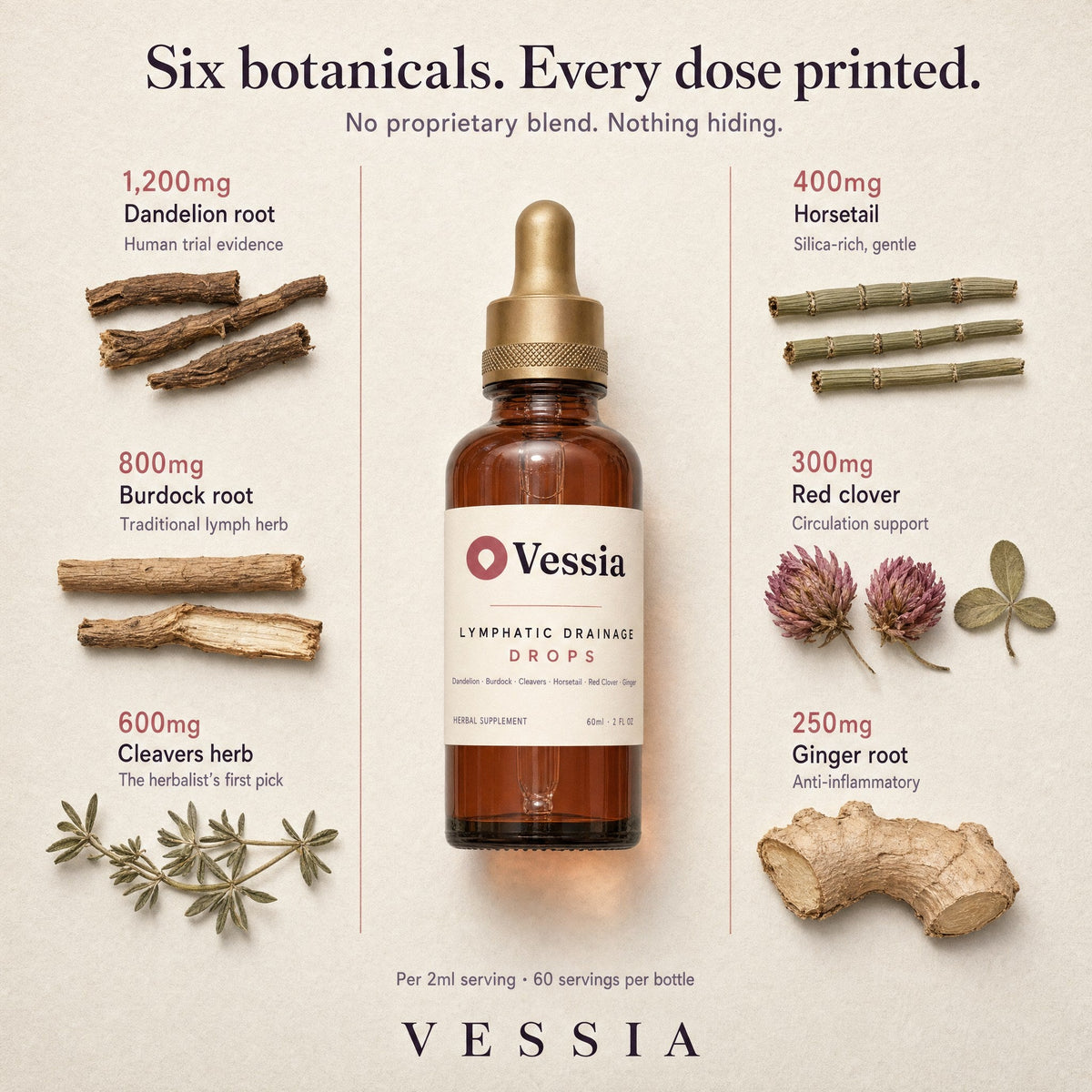 Vessia Lymfedruppels – de zes kruiden