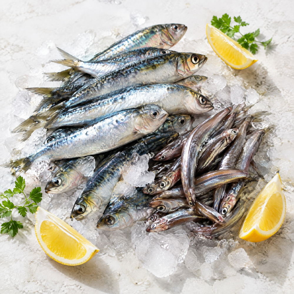 Wild-caught small fish